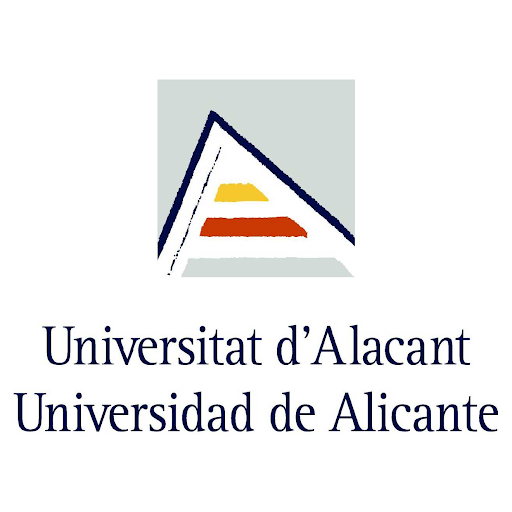  Universidad